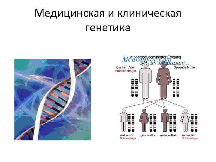 Медицинская и клиническая генетика 