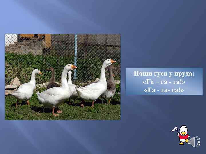 Наши гуси у пруда: «Га – га - га!» «Га - га!» 