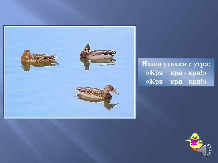 Наши уточки с утра: «Кря – кря - кря!» 