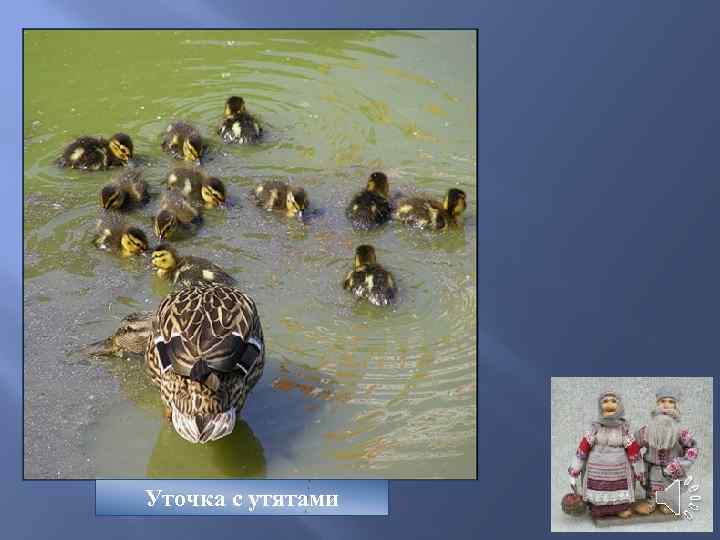 Уточка с утятами 