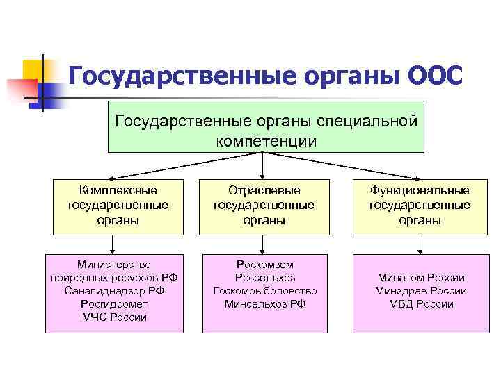 Государственные органы ООС Государственные органы специальной компетенции Комплексные государственные органы Министерство природных ресурсов РФ