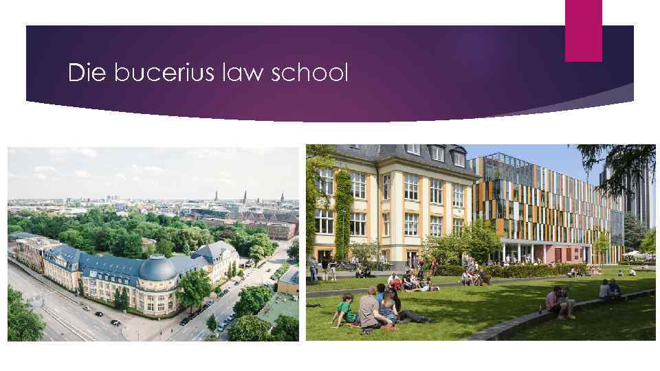 Die bucerius law school 