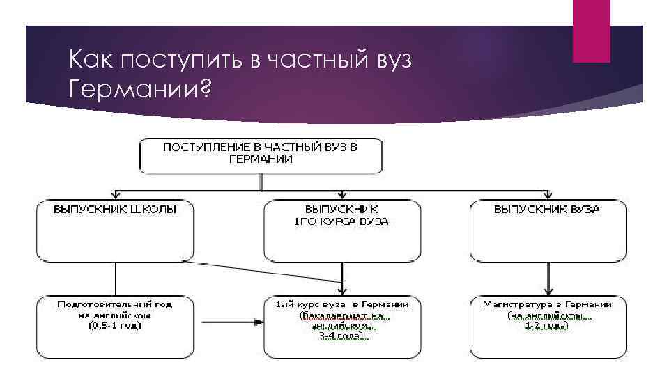 Как поступить в частный вуз Германии? 