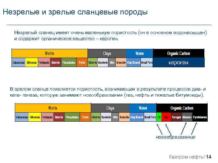  Незрелые и зрелые сланцевые породы Незрелый сланец имеет очень маленькую пористость (он в
