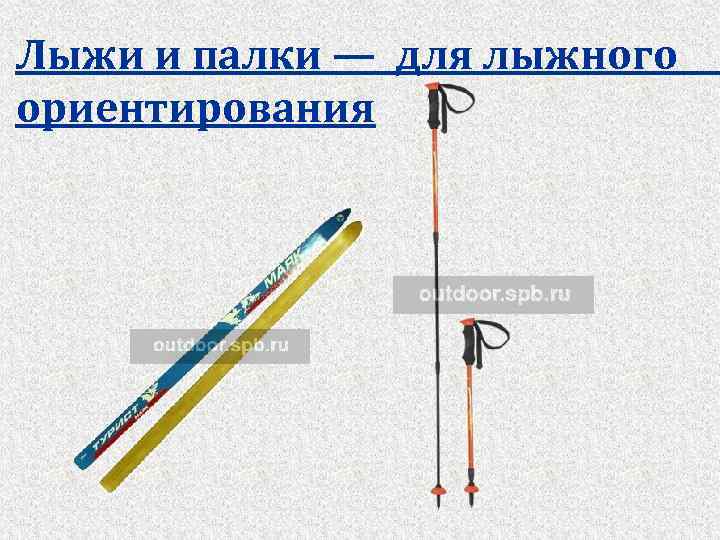 Лыжи и палки — для лыжного ориентирования 