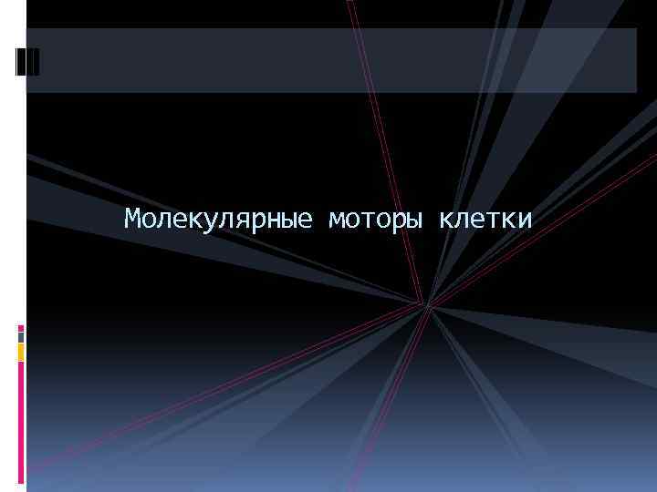 Молекулярные моторы клетки 