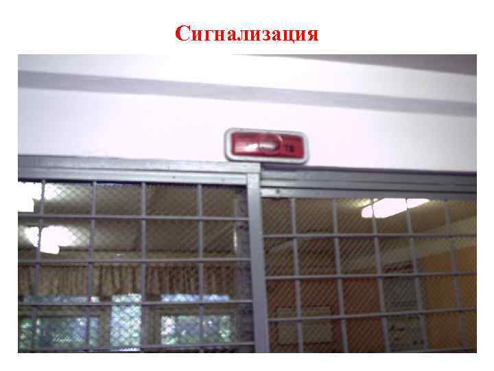 Сигнализация 