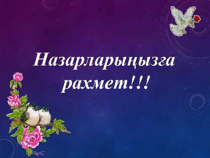 Назарларыңызға рахмет!!! 