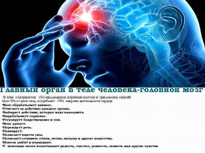 Главный орган в теле человека-головной мозг В нём содержится 150 миллиардов нервных клеток и