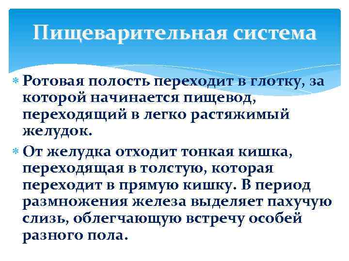 Пищеварительная система Ротовая полость переходит в глотку, за которой начинается пищевод, переходящий в легко