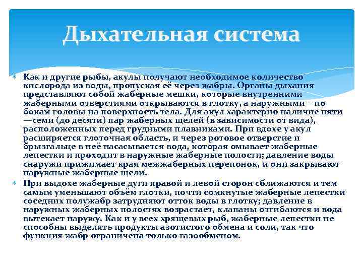 Дыхательная система Как и другие рыбы, акулы получают необходимое количество кислорода из воды, пропуская