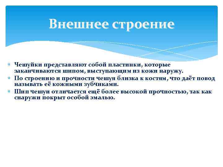 Внешнее строение Чешуйки представляют собой пластинки, которые заканчиваются шипом, выступающим из кожи наружу. По