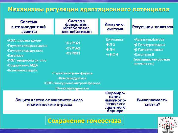 Механизмы регуляции адаптационного потенциала Система антиоксидантной защиты • АОА плазмы крови • Глутатионпероксидаза •