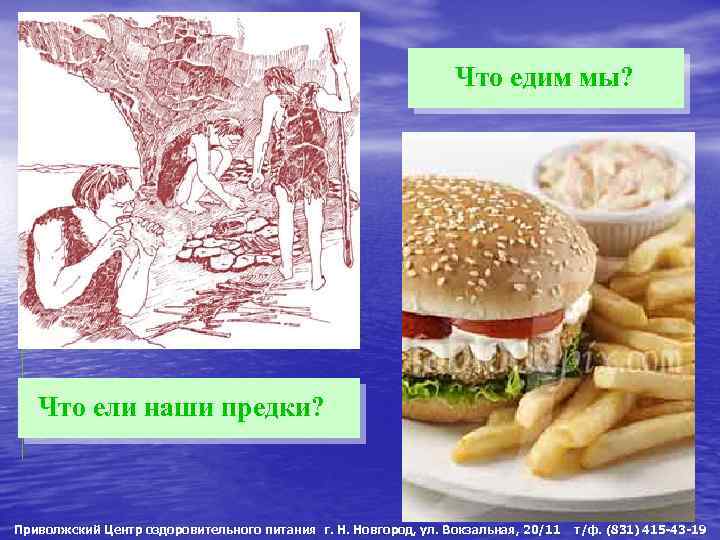 Что едим мы? Что ели наши предки? Приволжский Центр оздоровительного питания г. Н. Новгород,