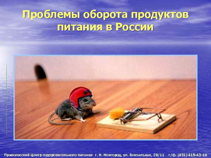 Проблемы оборота продуктов питания в России Приволжский Центр оздоровительного питания г. Н. Новгород, ул.