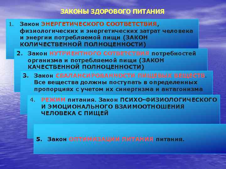 Законы питания. Основные законы питания. Законы здорового питания. Основные законы рационального питания.