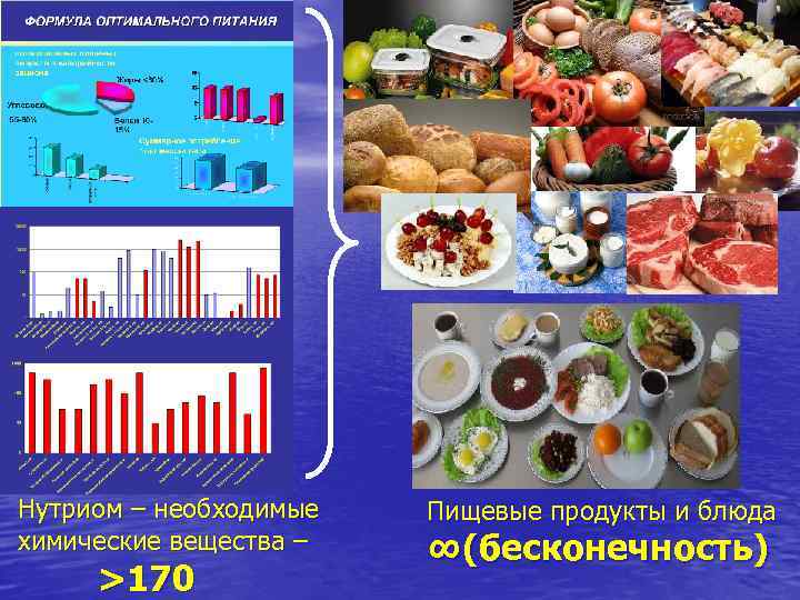 Нутриом – необходимые химические вещества – >170 Пищевые продукты и блюда ∞(бесконечность) 