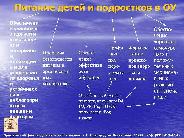 Питание детей и подростков в ОУ Обеспечени е учащихся энергией и пластическим материало м,
