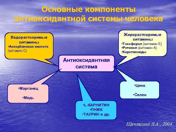  Основные компоненты антиоксидантной системы человека Жирорастворимые витамины Водорастворимые витамины • Токоферол (витамин Е)