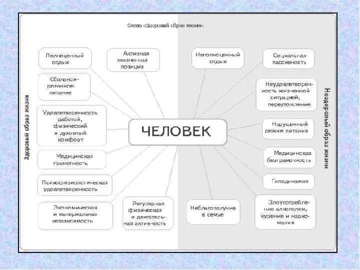 Здоровый образ жизни е его элементы 