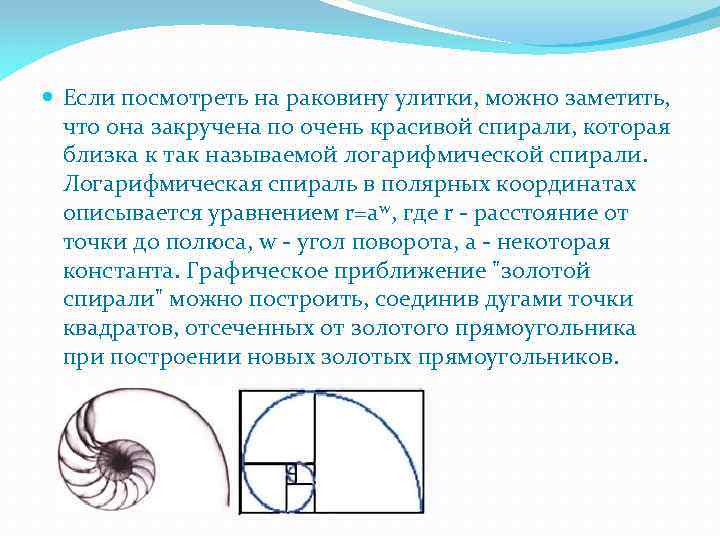  Если посмотреть на раковину улитки, можно заметить, что она закручена по очень красивой