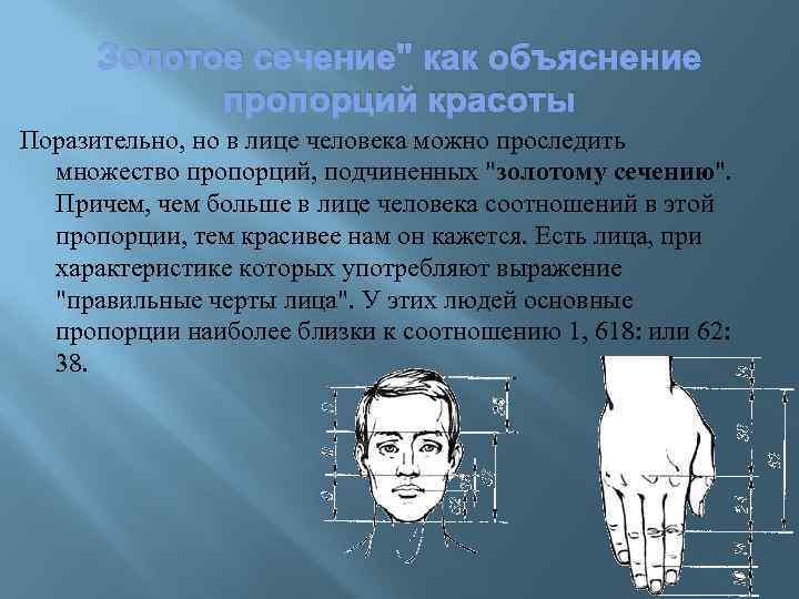 Золотое сечение" как объяснение пропорций красоты Поразительно, но в лице человека можно проследить множество