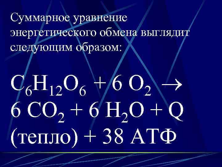 Суммарное уравнение энергетического обмена выглядит следующим образом: С 6 Н 12 О 6 +