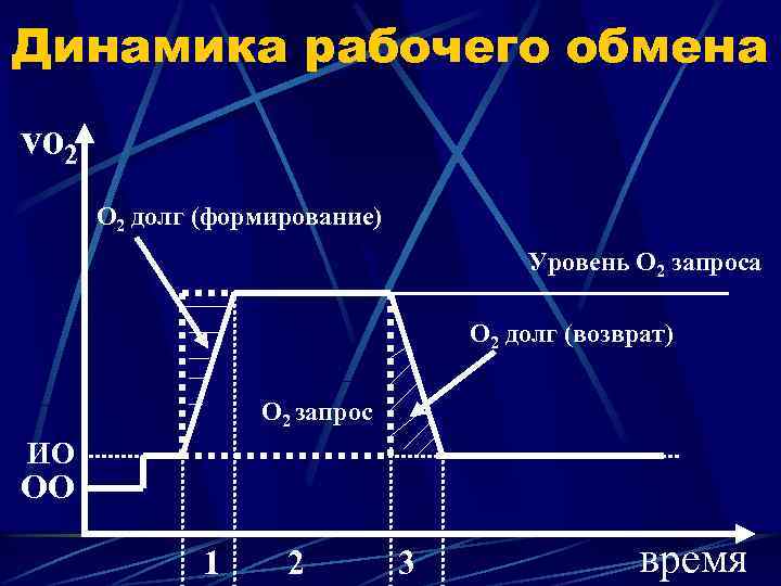 Динамика рабочего обмена vo 2 О 2 долг (формирование) Уровень О 2 запроса О