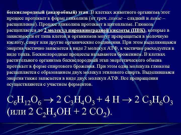 бескислородный (анаэробный) этап. В клетках животного организма этот процесс протекает в форме гликолиза (от