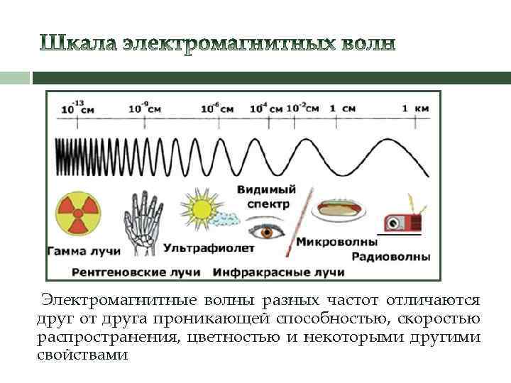 Электромагнитные волны разных частот отличаются друг от друга проникающей способностью, скоростью распространения, цветностью и