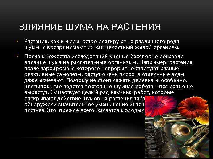 Влияние шума. Влияние шума на растения. Воздействие шума на живые организмы. Влияние шумового загрязнения на растения. Влияние звуков на растения и животных.