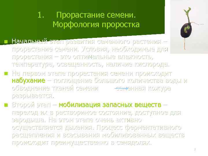 1. Прорастание семени. Морфология проростка Начальный этап развития семенного растения – прорастание семени. Условия,