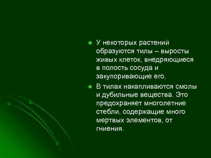 l l У некоторых растений образуются тилы – выросты живых клеток, внедряющиеся в полость