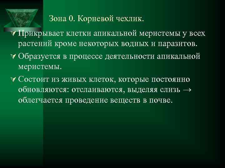 Зона 0. Корневой чехлик. Ú Прикрывает клетки апикальной меристемы у всех растений кроме некоторых