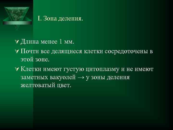 I. Зона деления. Ú Длина менее 1 мм. Ú Почти все делящиеся клетки сосредоточены