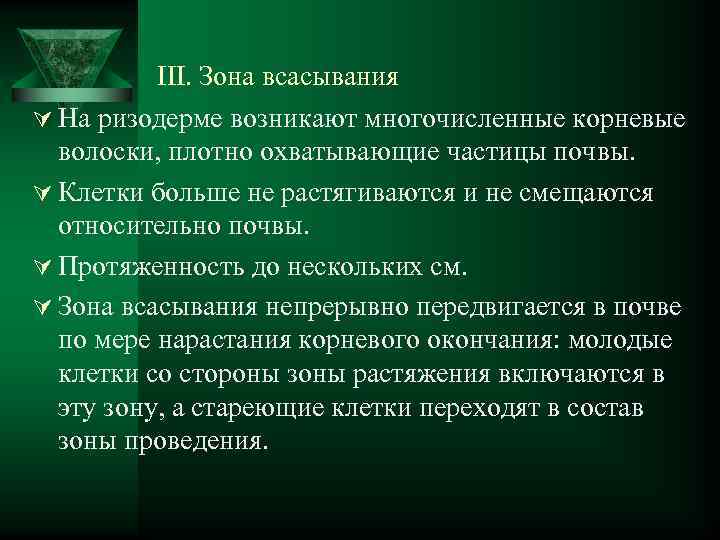 III. Зона всасывания Ú На ризодерме возникают многочисленные корневые волоски, плотно охватывающие частицы почвы.