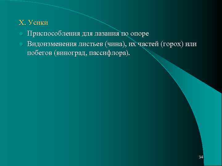 Х. Усики l Приспособления для лазания по опоре l Видоизменения листьев (чина), их частей