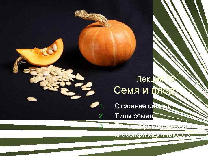 Лекция 15 Семя и плод 1. 2. 3. Строение семени. Типы семян. Плод. Характеристика