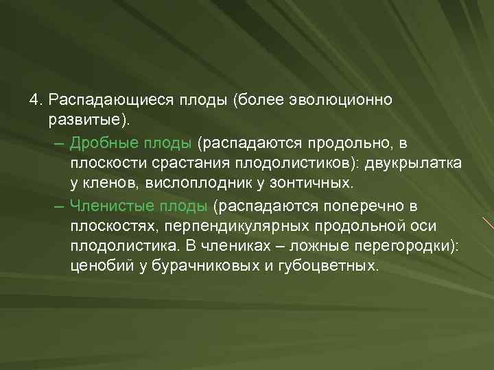 4. Распадающиеся плоды (более эволюционно развитые). – Дробные плоды (распадаются продольно, в плоскости срастания