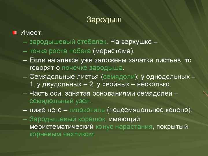 Зародыш Имеет: – зародышевый стебелек. На верхушке – – точка роста побега (меристема). –