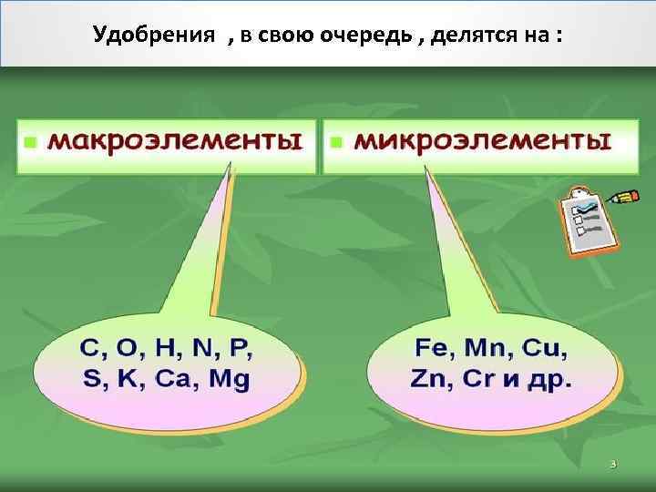 Удобрения , в свою очередь , делятся на : 