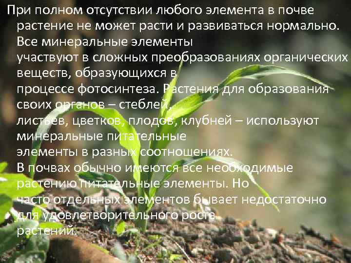  При полном отсутствии любого элемента в почве растение не может расти и развиваться