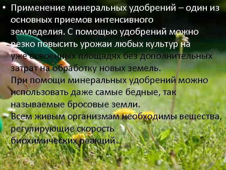  • Применение минеральных удобрений – один из основных приемов интенсивного земледелия. С помощью