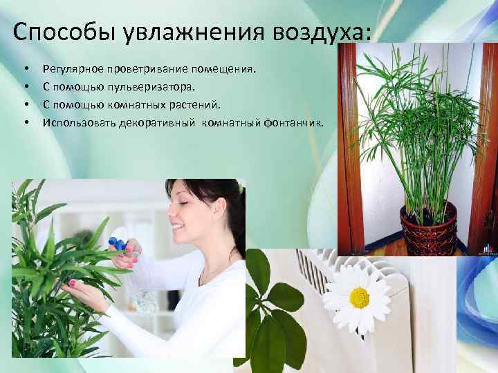 Способы увлажнения воздуха: • • Регулярное проветривание помещения. С помощью пульверизатора. С помощью комнатных