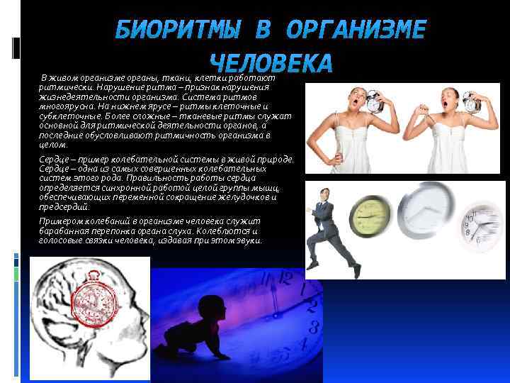 Деятельность организма