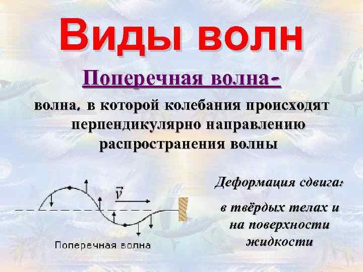 Виды волн Поперечная волна, в которой колебания происходят перпендикулярно направлению распространения волны Деформация сдвига: