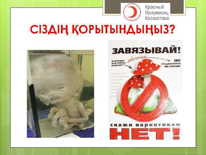 СІЗДІҢ ҚОРЫТЫНДЫҢЫЗ? 