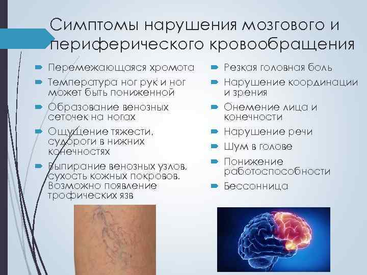 Симптомы нарушения мозгового и периферического кровообращения Перемежающаяся хромота Температура ног рук и ног может