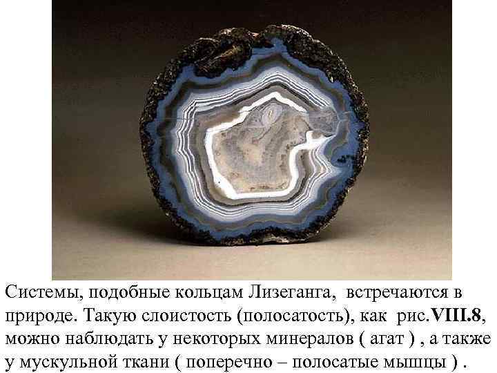 Системы, подобные кольцам Лизеганга, встречаются в природе. Такую слоистость (полосатость), как рис. VIII. 8,