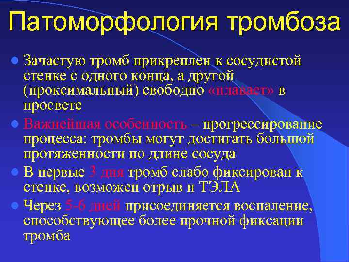 Патоморфология тромбоза l Зачастую тромб прикреплен к сосудистой стенке с одного конца, а другой